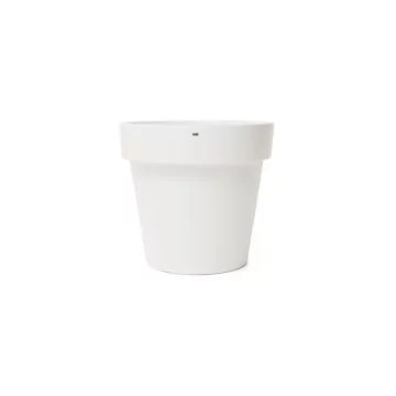 Classic 50 Studio - Bone