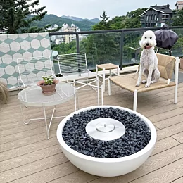 울집 멍멍이 불멍 준비 완료 #젤로네🐩 #standardpoodle #스탠다드푸들 #스탠푸 #poodle