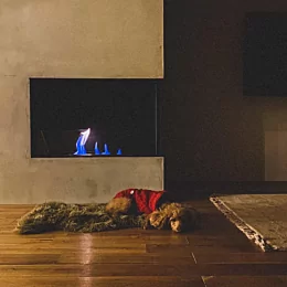 心地よい。
#犬のいる暮らし #バイオエタノール暖炉 #ecosmartfire #モルタル #温もり #丁寧な暮らし #団地暮らし #フ...