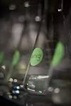 thumbnail: nrg-sid-shoot-ethanol-fermentation-4.jpg
